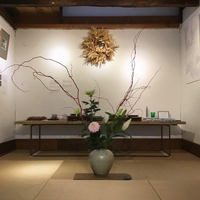画像251