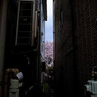 画像365